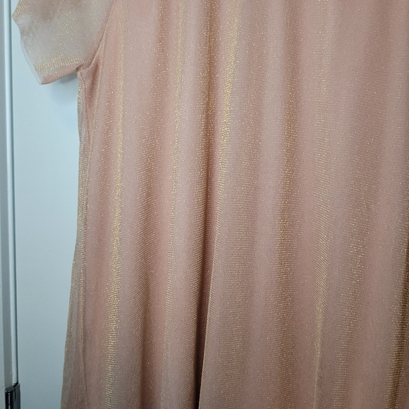 Forever 21 Pink Gold Mesh Short Dress - Picture 4 of 4